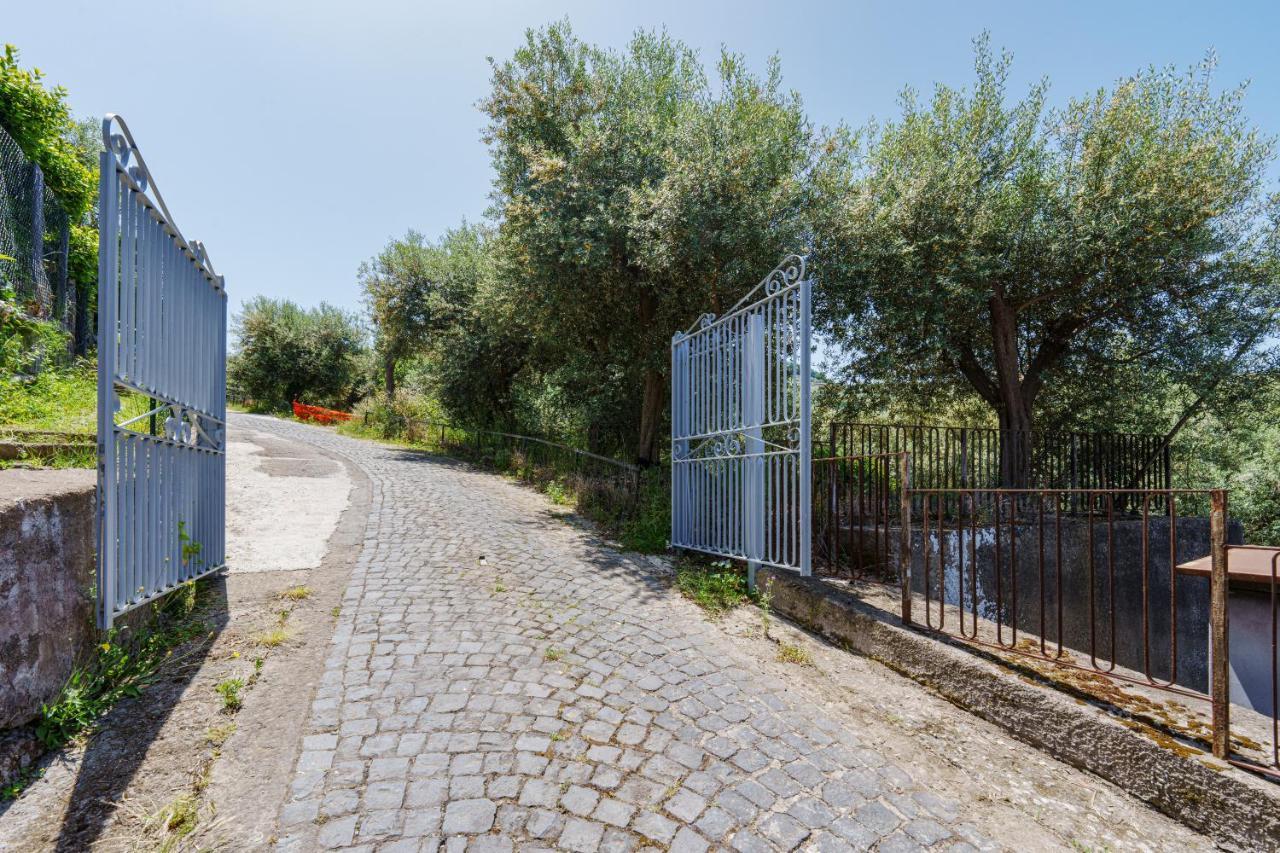 Fratta Suite- The Peace Of Senses Apartment Sorrento