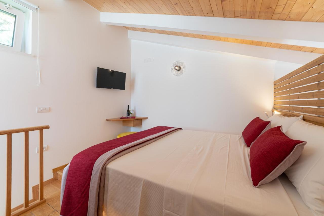 Nature & Guest house