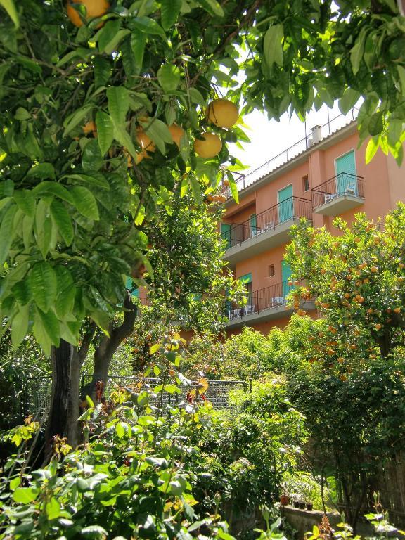 Girasole 3*