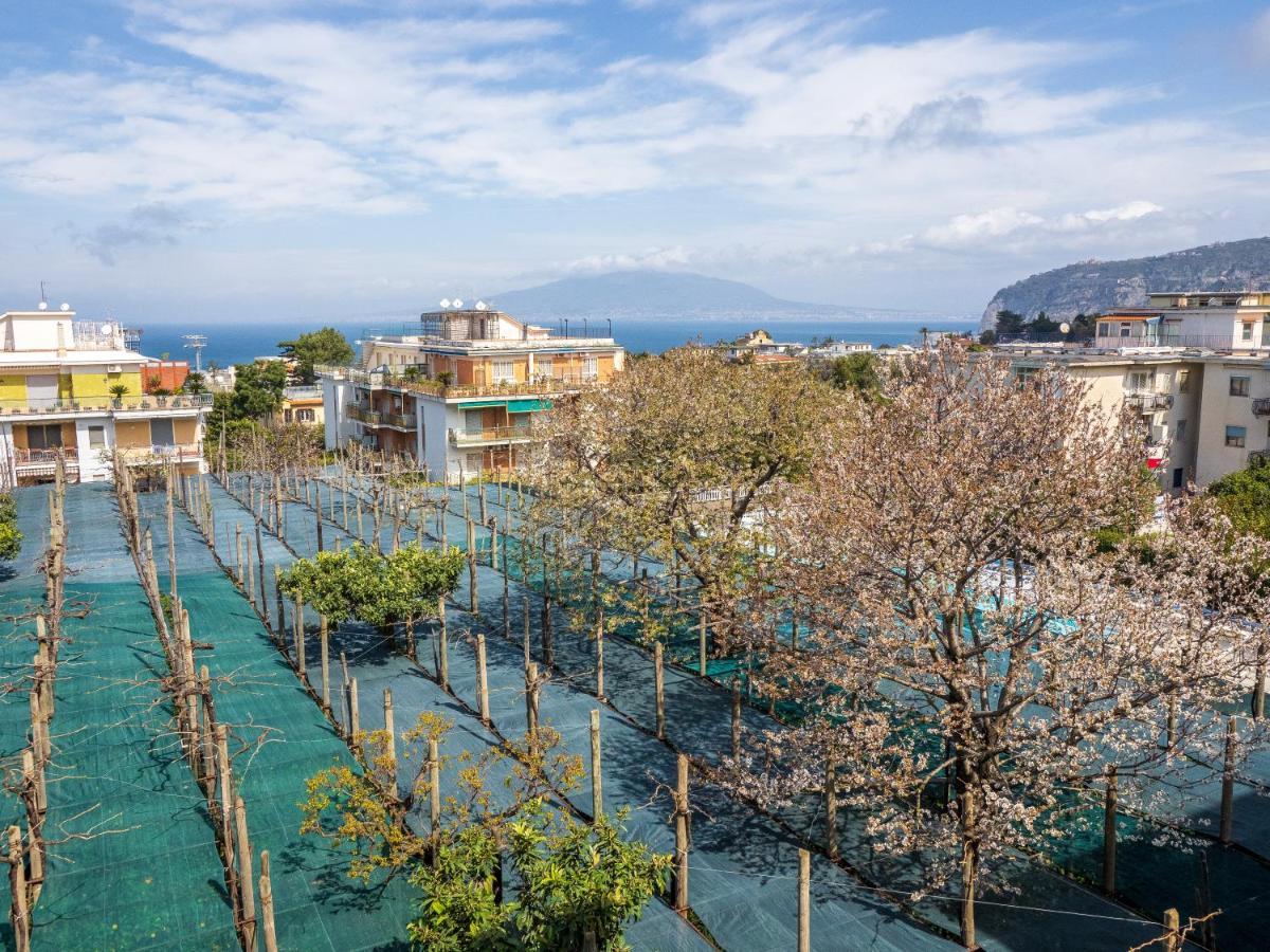 Appartement Yourhome - Corso Italia In Sorrento