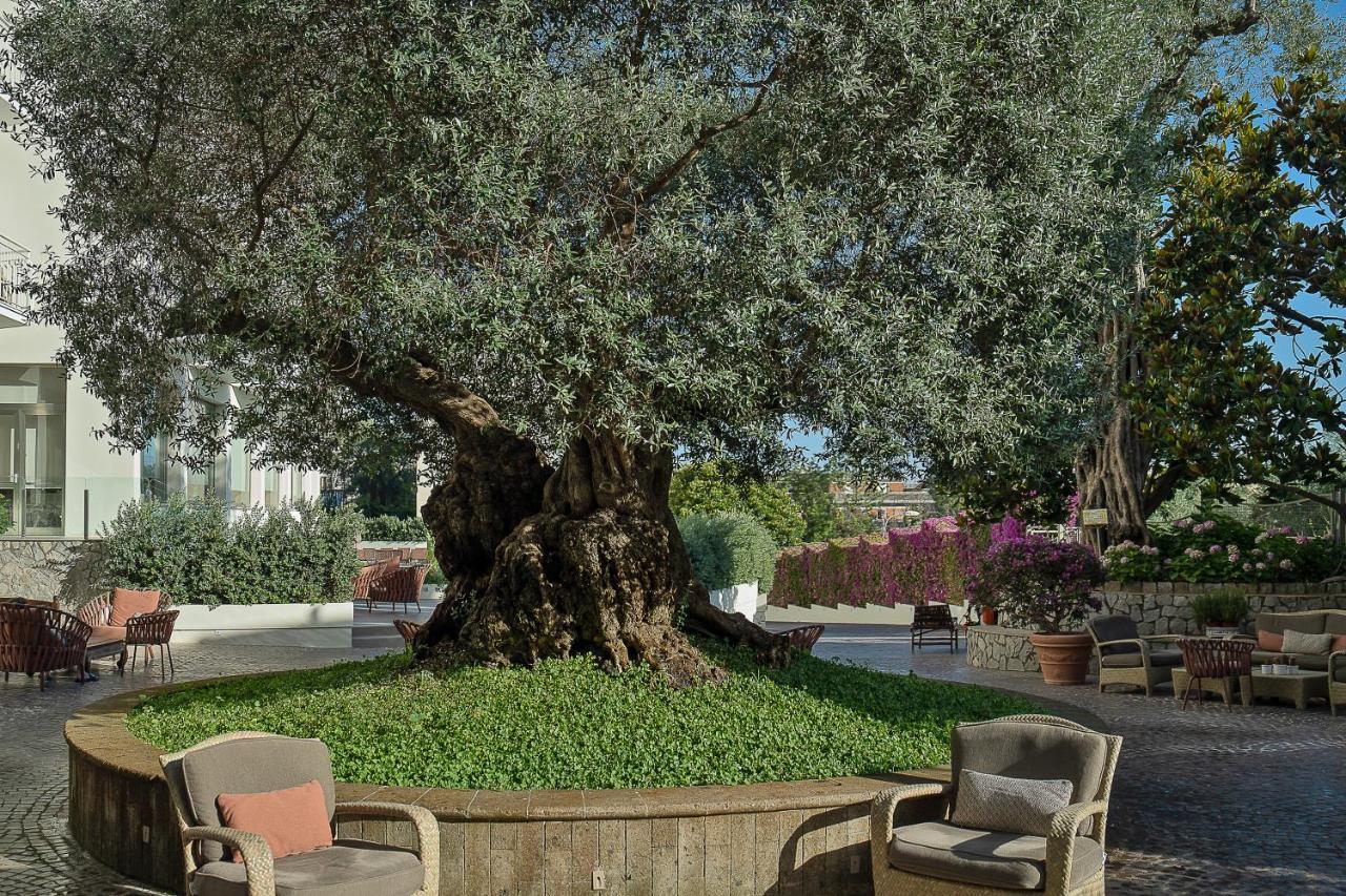 Conca Park Hotel Sorrento