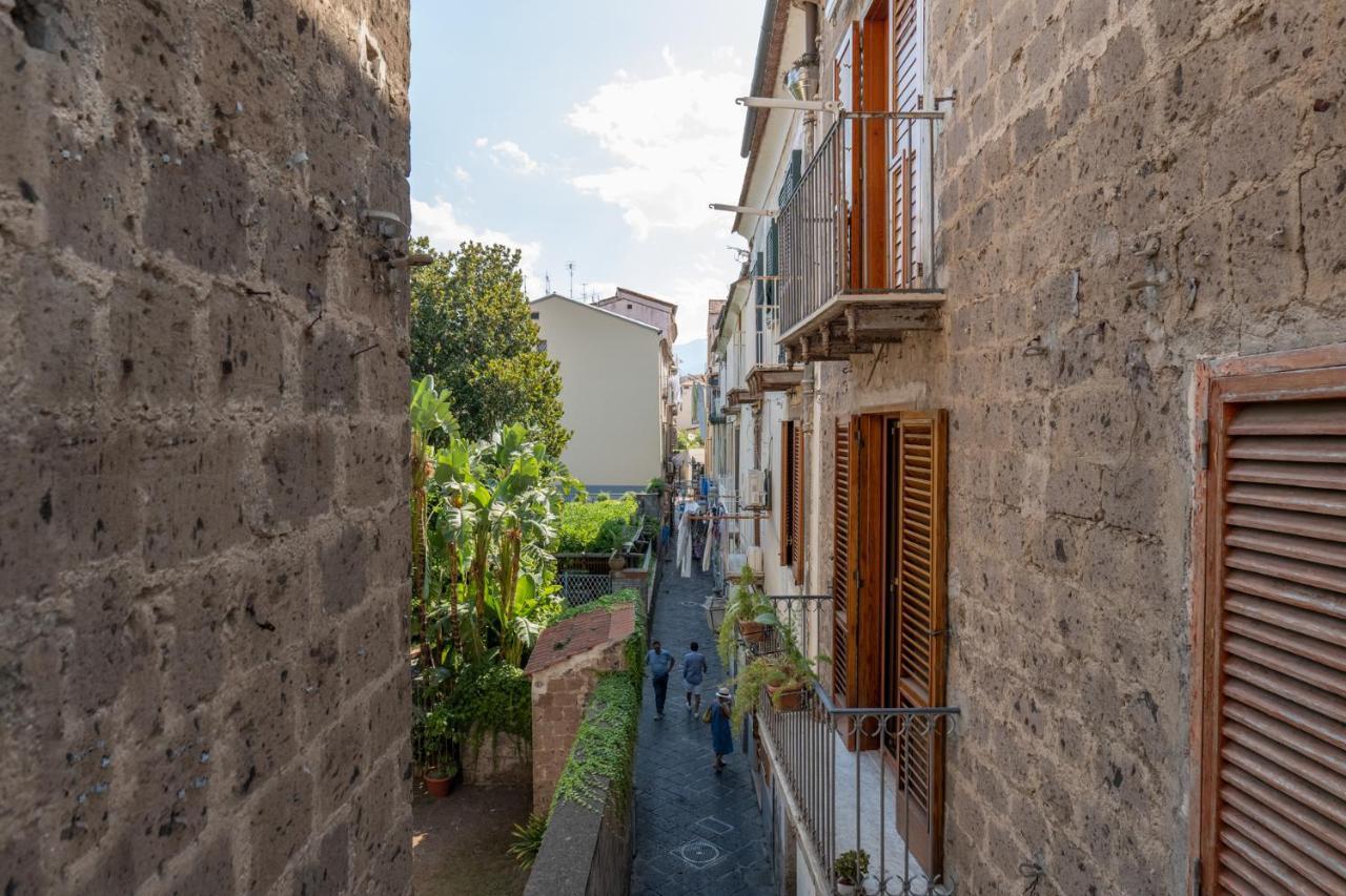 Mrg2 * Sorrento