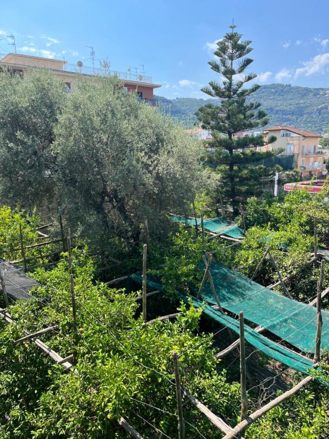 Sorrento's Carme Family Big Appartament Apartamento Sorrento