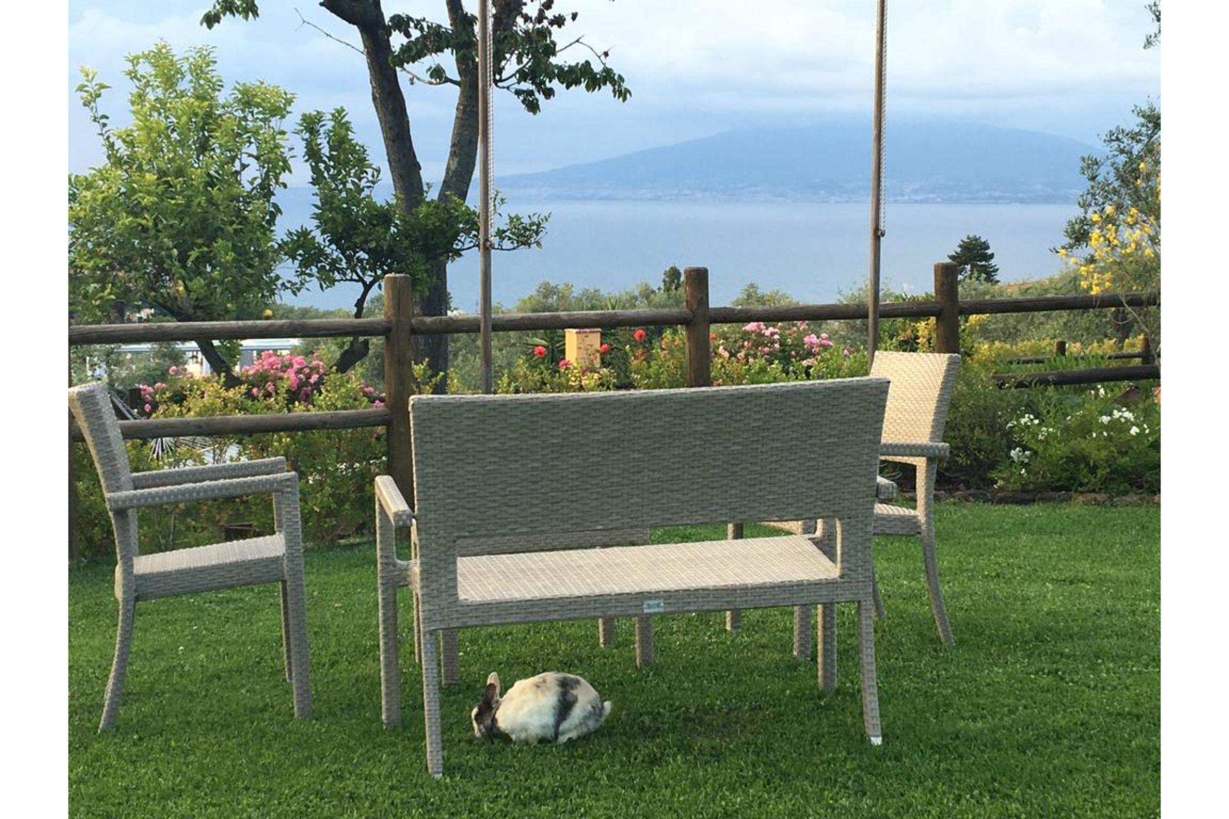Casale Antonietta Bed & Breakfast