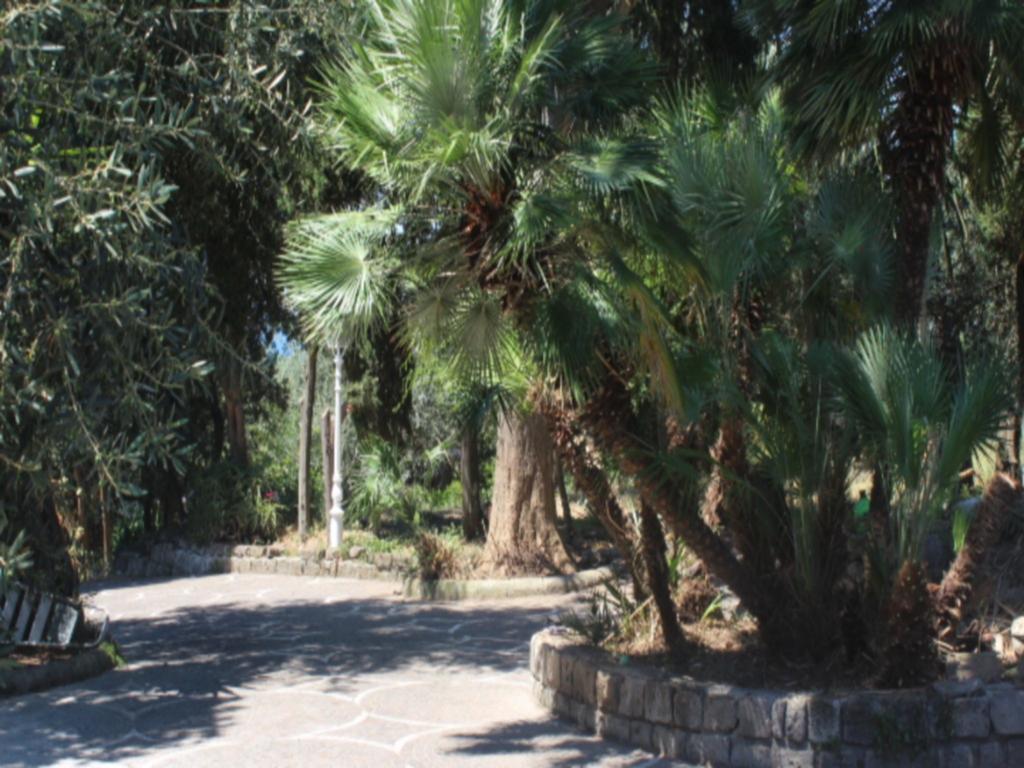 Faraglioni Di Affittacamere Sorrento