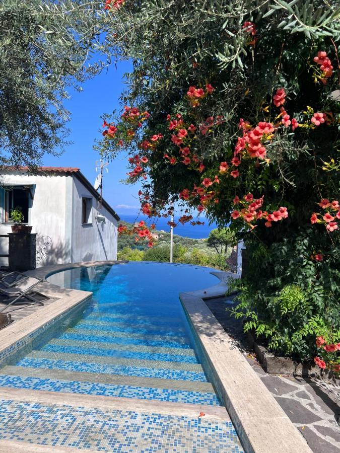 Giovanna Guest house Sorrento