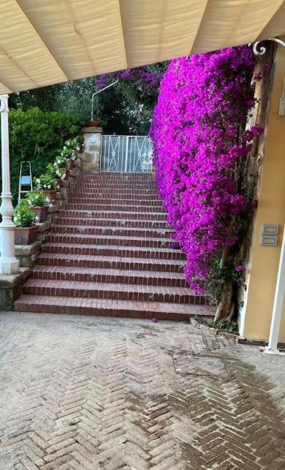 Villa Vie En Rose