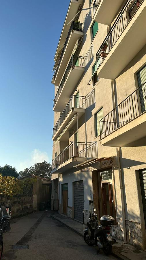 Patriziella 4 *