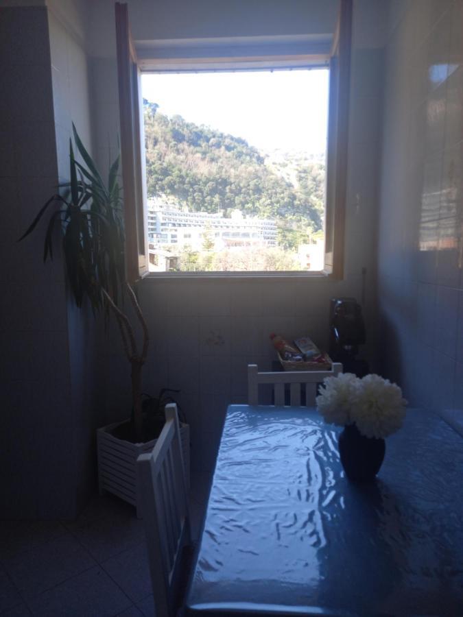Sun Center Apartment