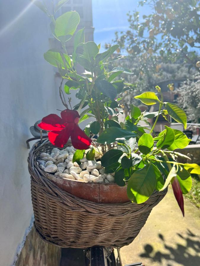 Il Cacciatore Holiday home