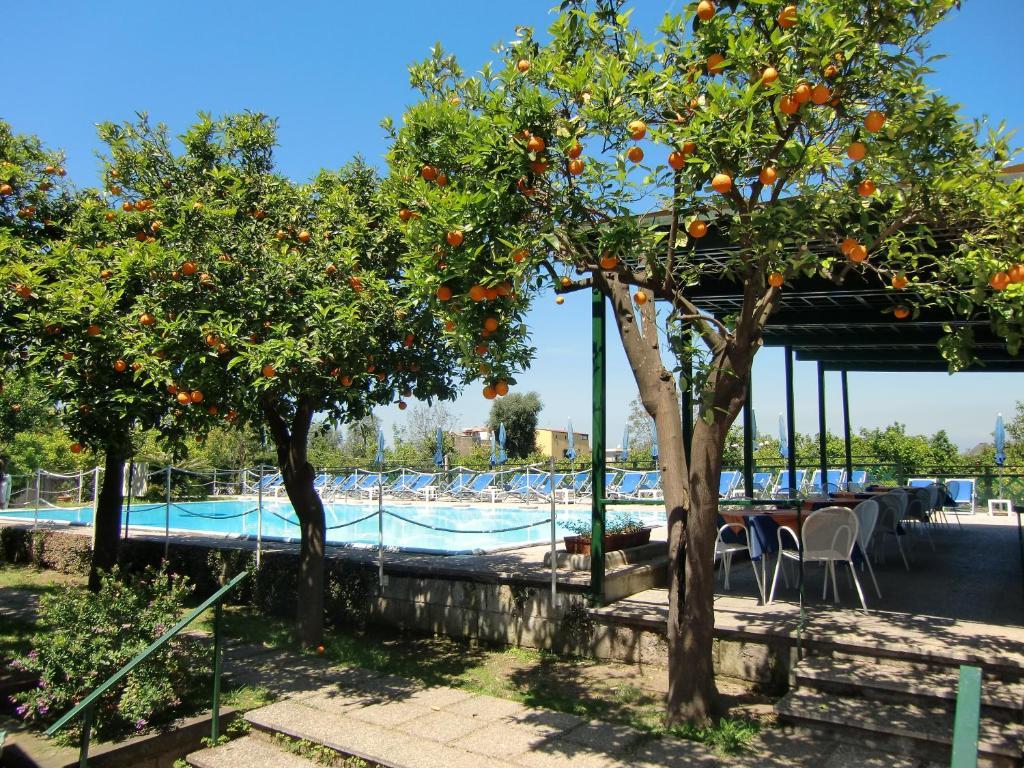 Girasole Hotel Sorrento