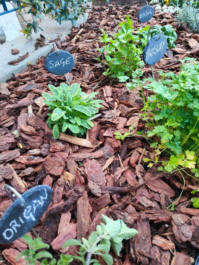 Apartment Garden