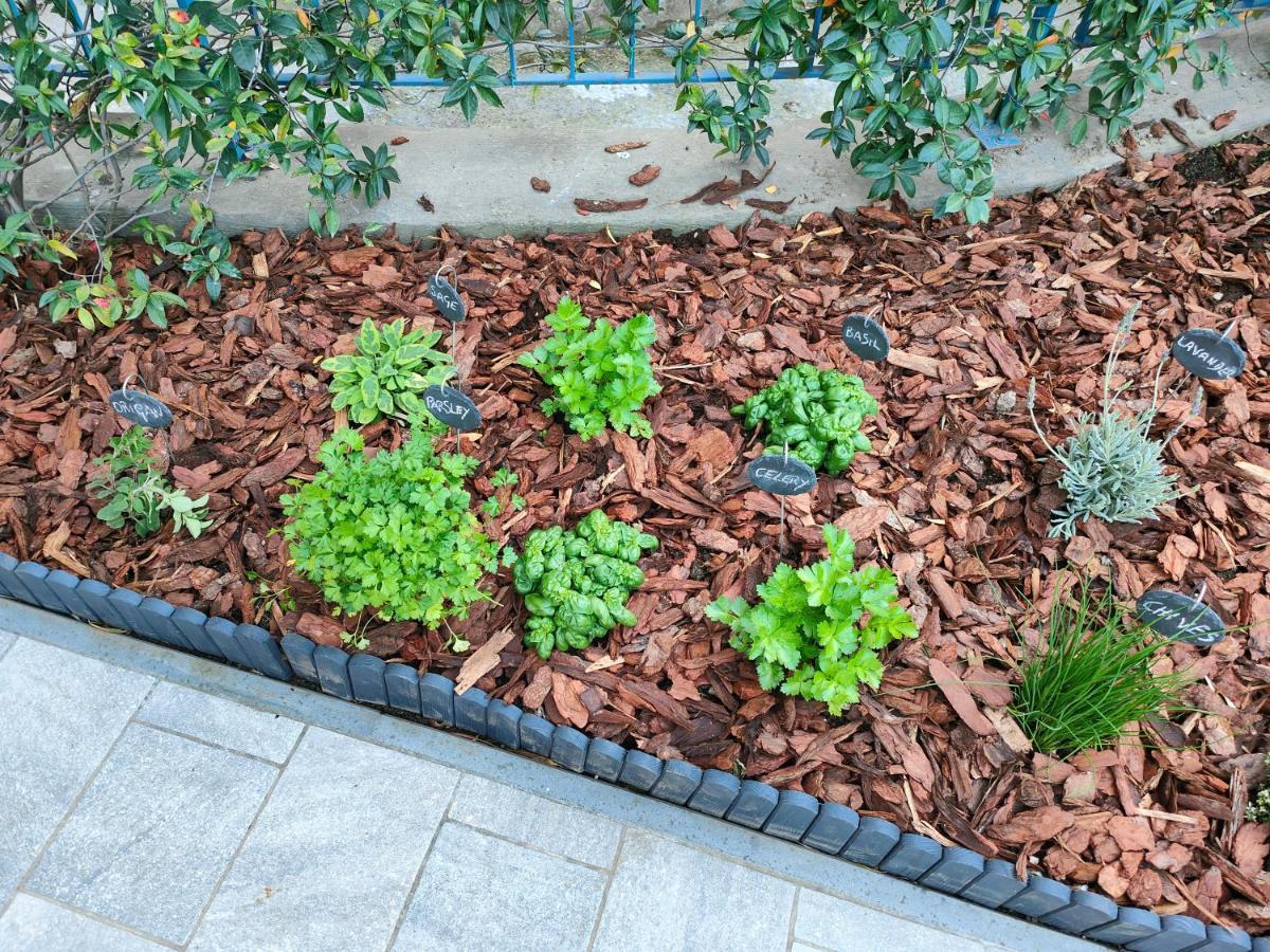 Garden *