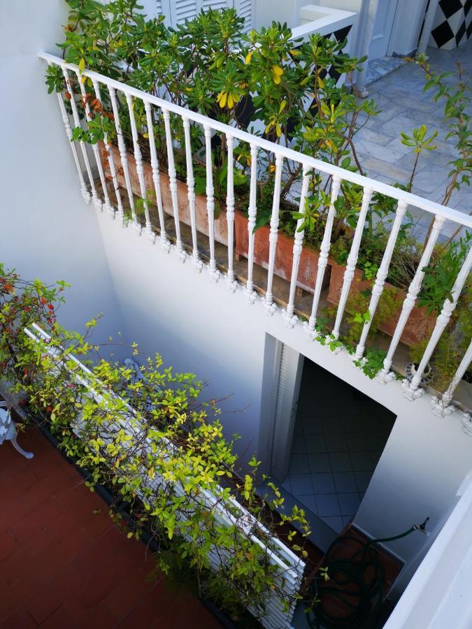 Guest house Muta House