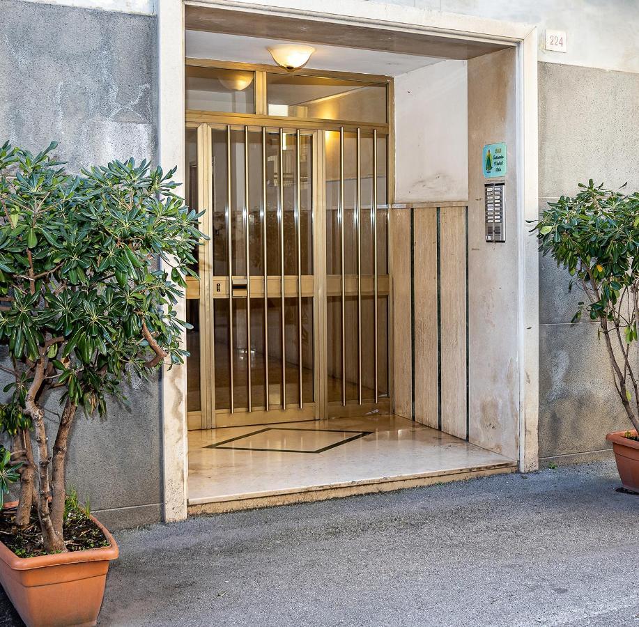 B&b-apartment-sleeps3-parking-balcony-petfriendly Apartment *