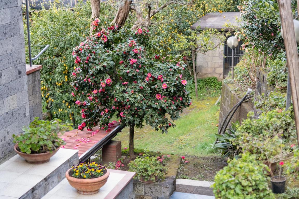Casa de férias Sorrentovibes - Sea View Rooftop With Jacuzzi & Garden *