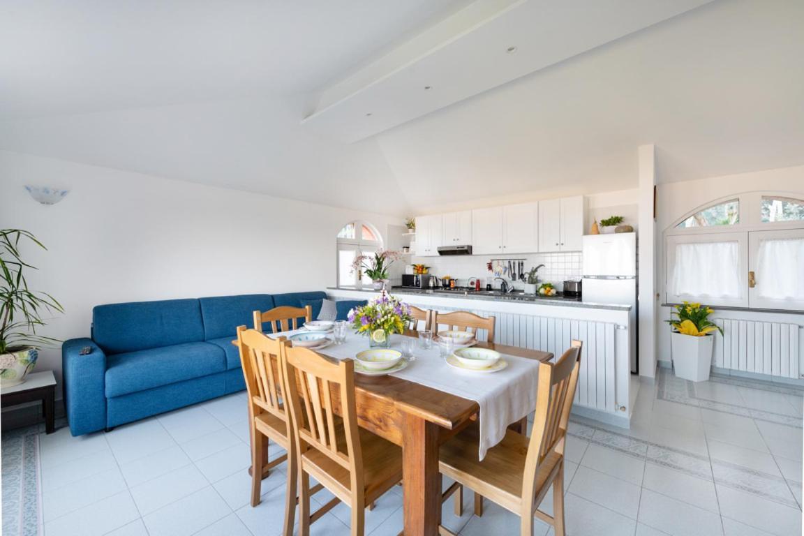 Sorrentovibes - Sea View Rooftop With Jacuzzi & Garden
