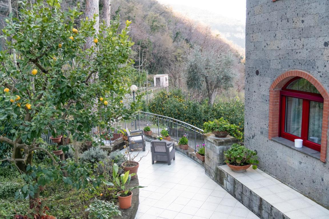 Casa de férias Sorrentovibes - Sea View Rooftop With Jacuzzi & Garden *