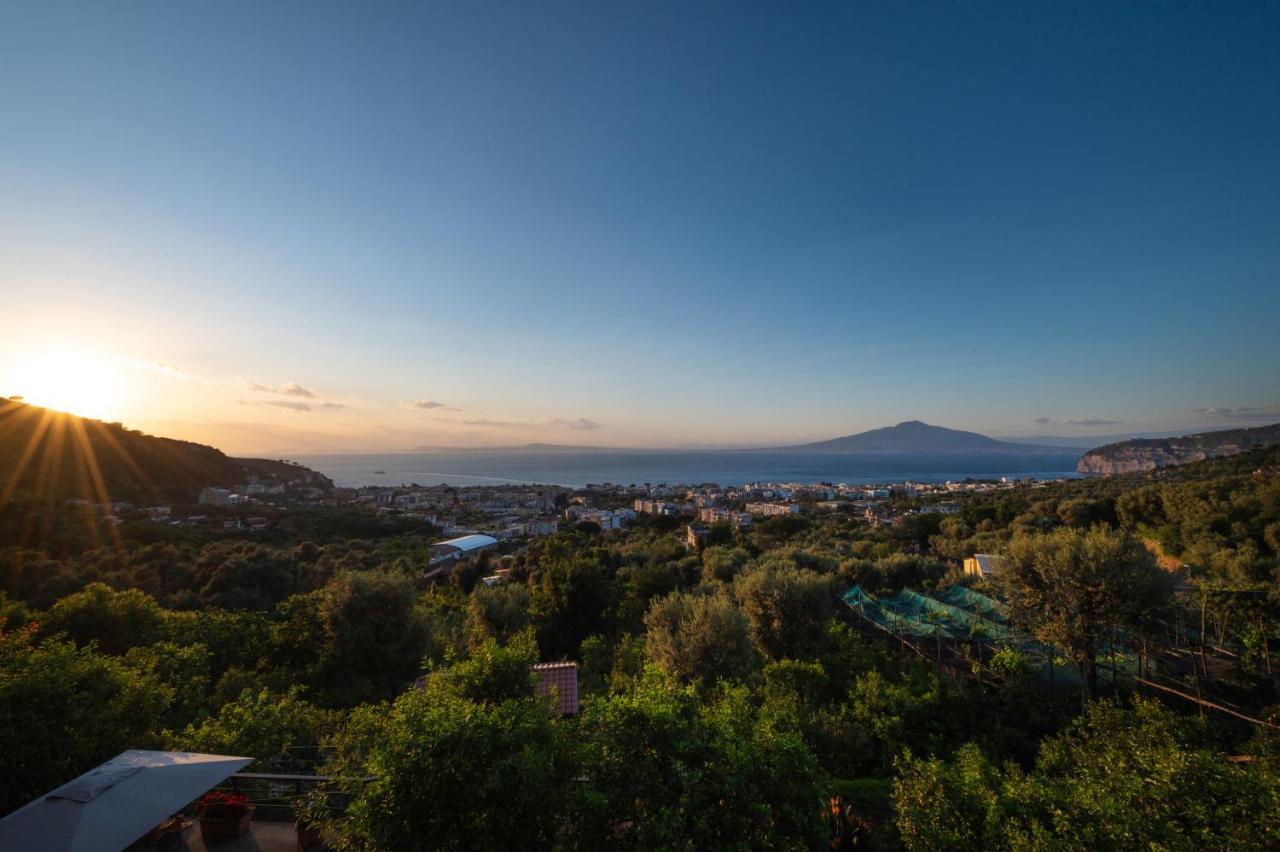Sorrentovibes - Sea View Rooftop With Jacuzzi & Garden *