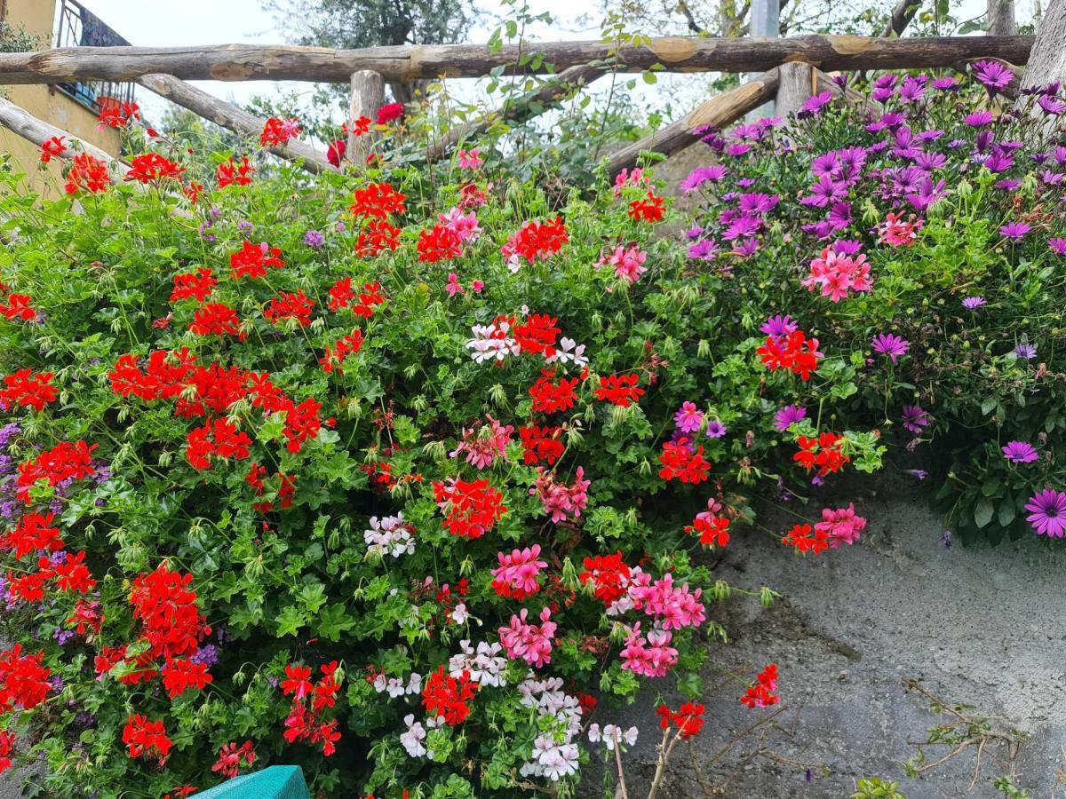 Casa Betania Da Peppe Holiday home