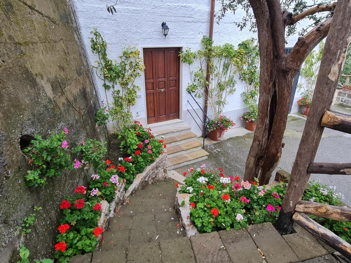 Casa Betania Da Peppe Holiday home *