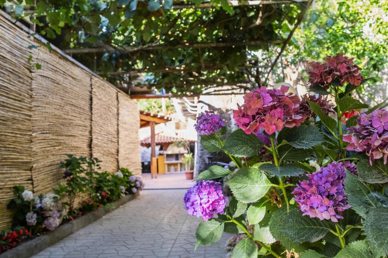 La Natura X9 Whole With Private Parking Apartment