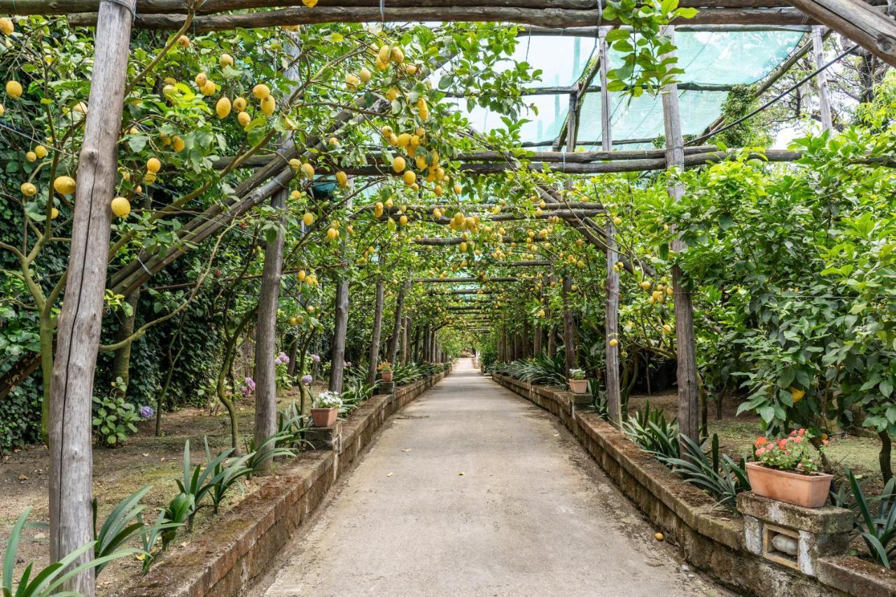 Romantic Garden