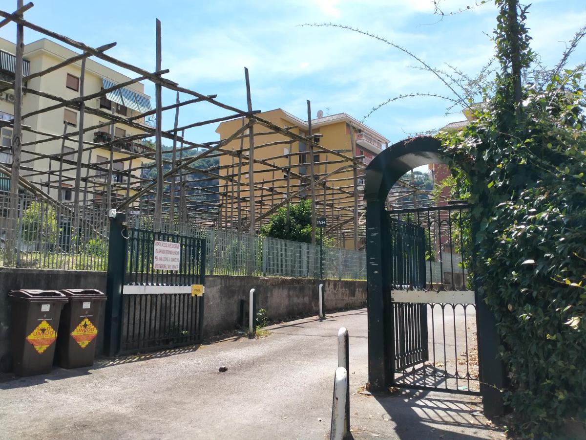 Casa Bocciolino Appartamento Sorrento