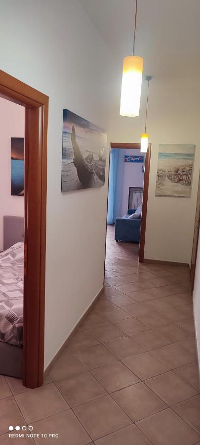 Il Tulipano
