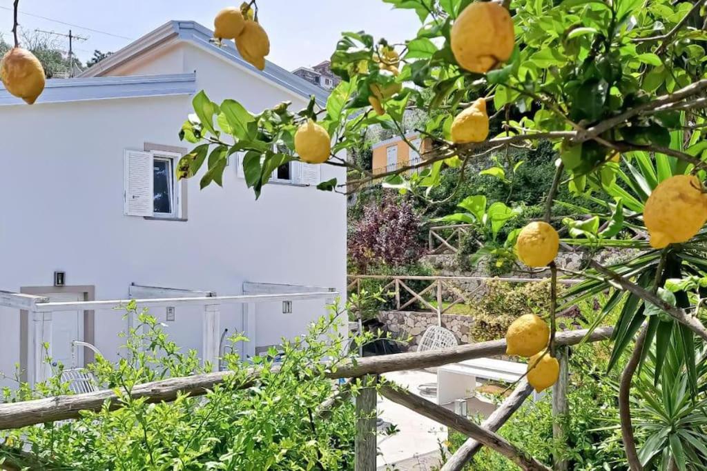 Annachiara Coast Villa *