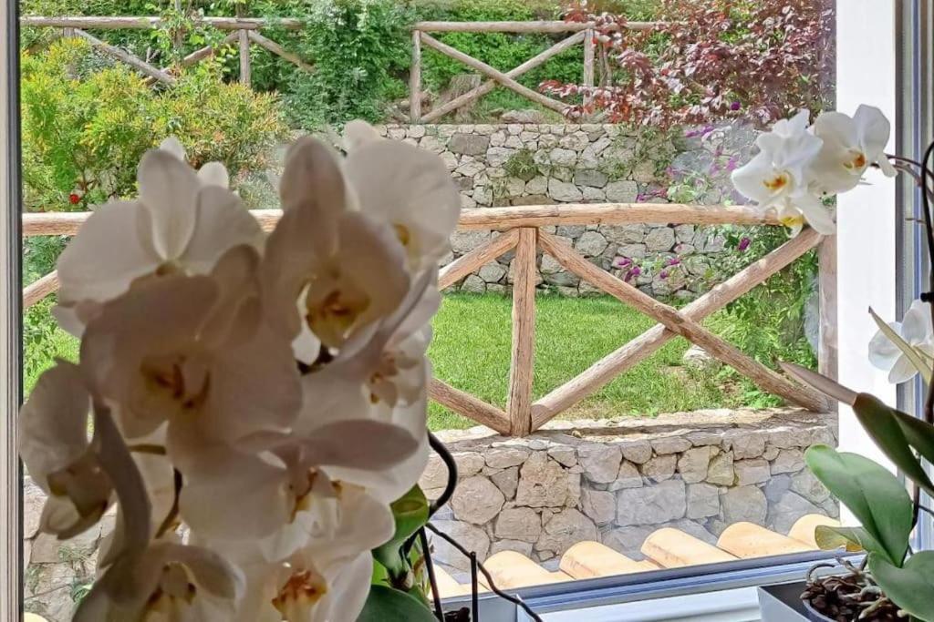 Annachiara Coast Villa *