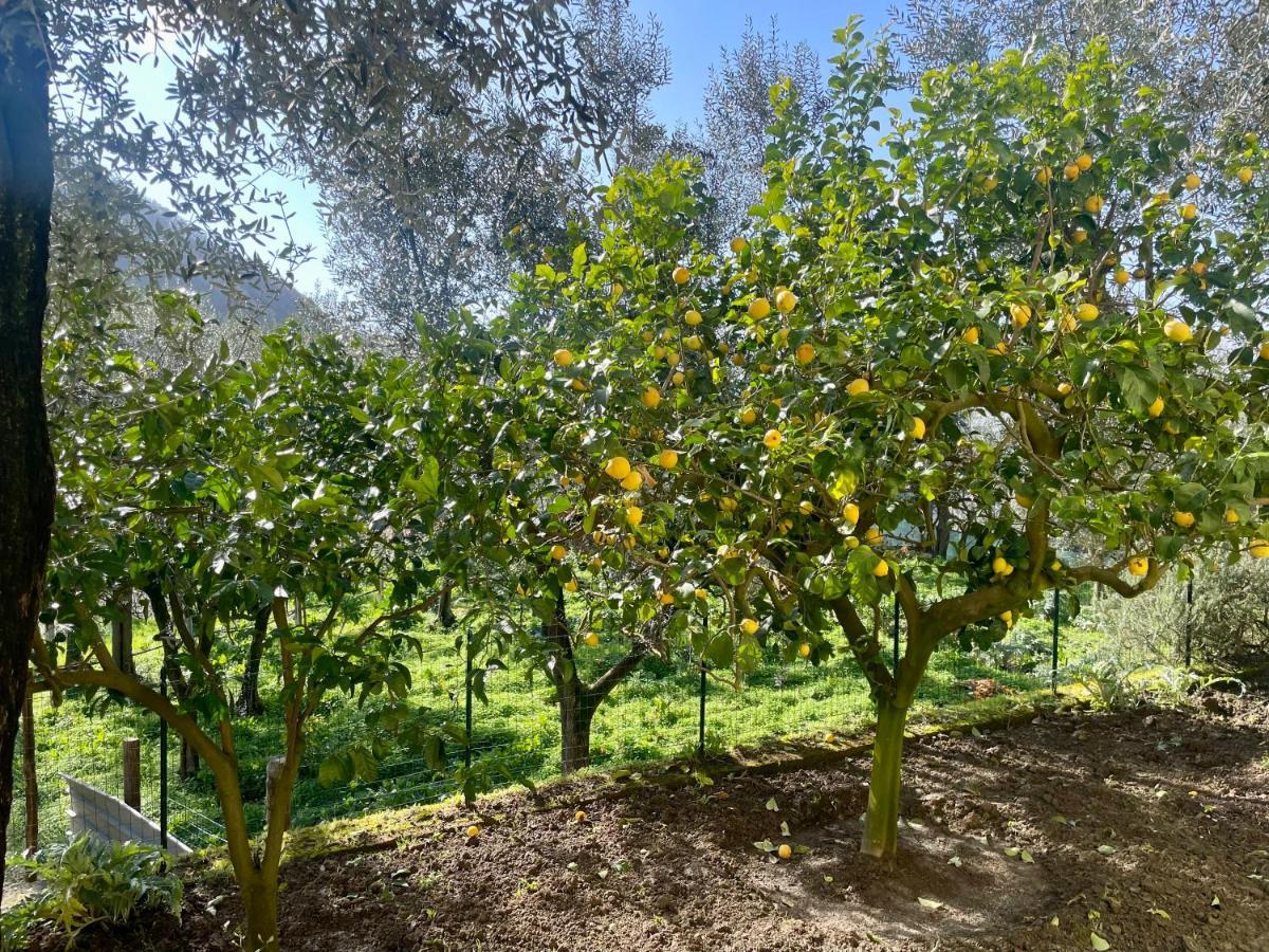 Acomodação com café da manhã  Realty Holidays - The Smile Of The Sun Sorrento