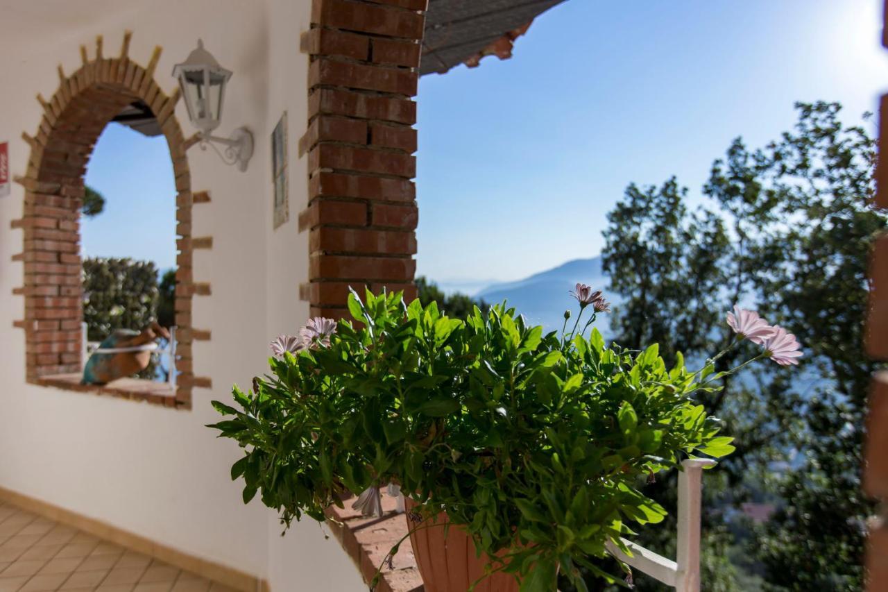 Le Terrazze Sorrento