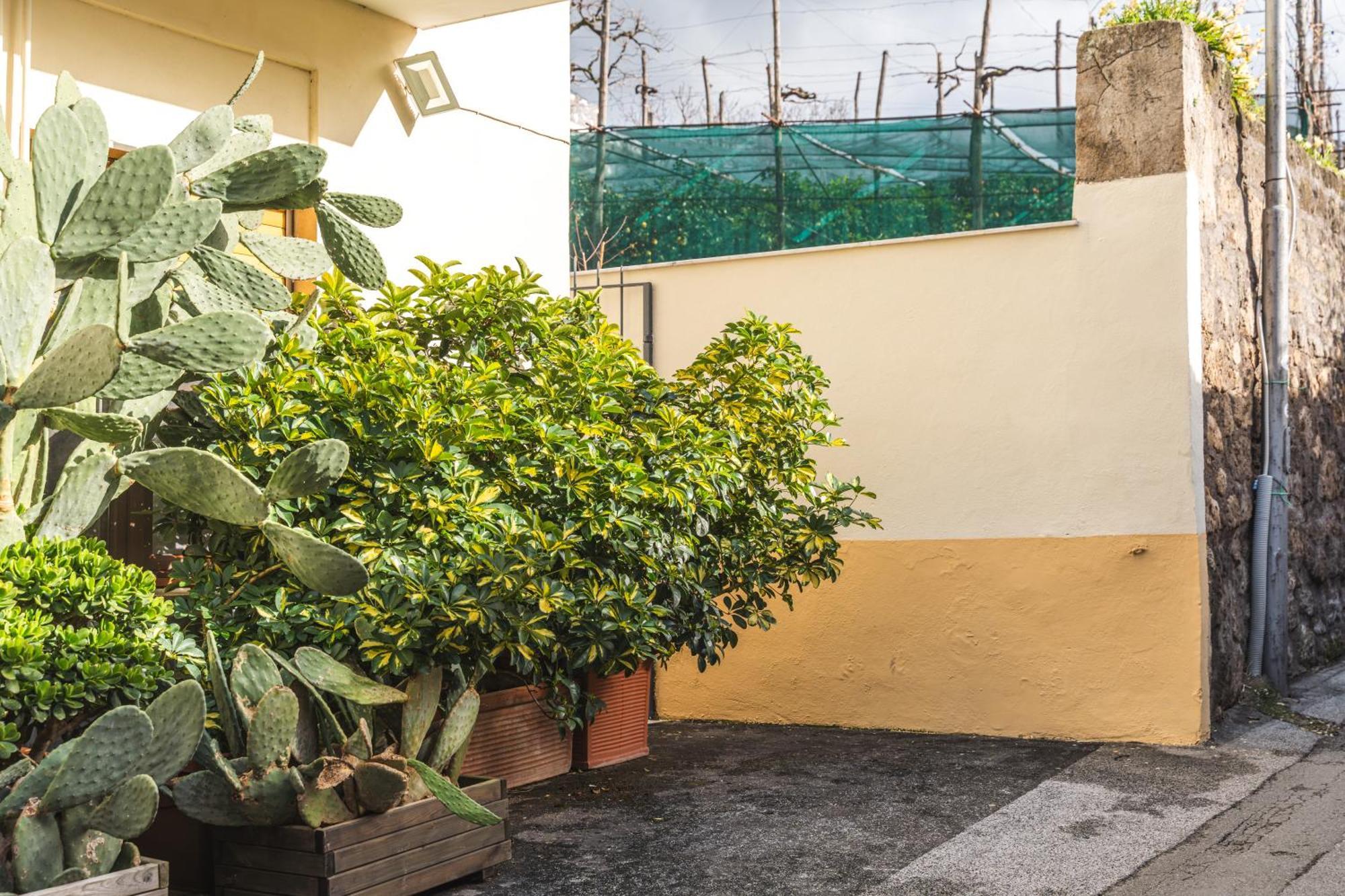Flat * Sorrento