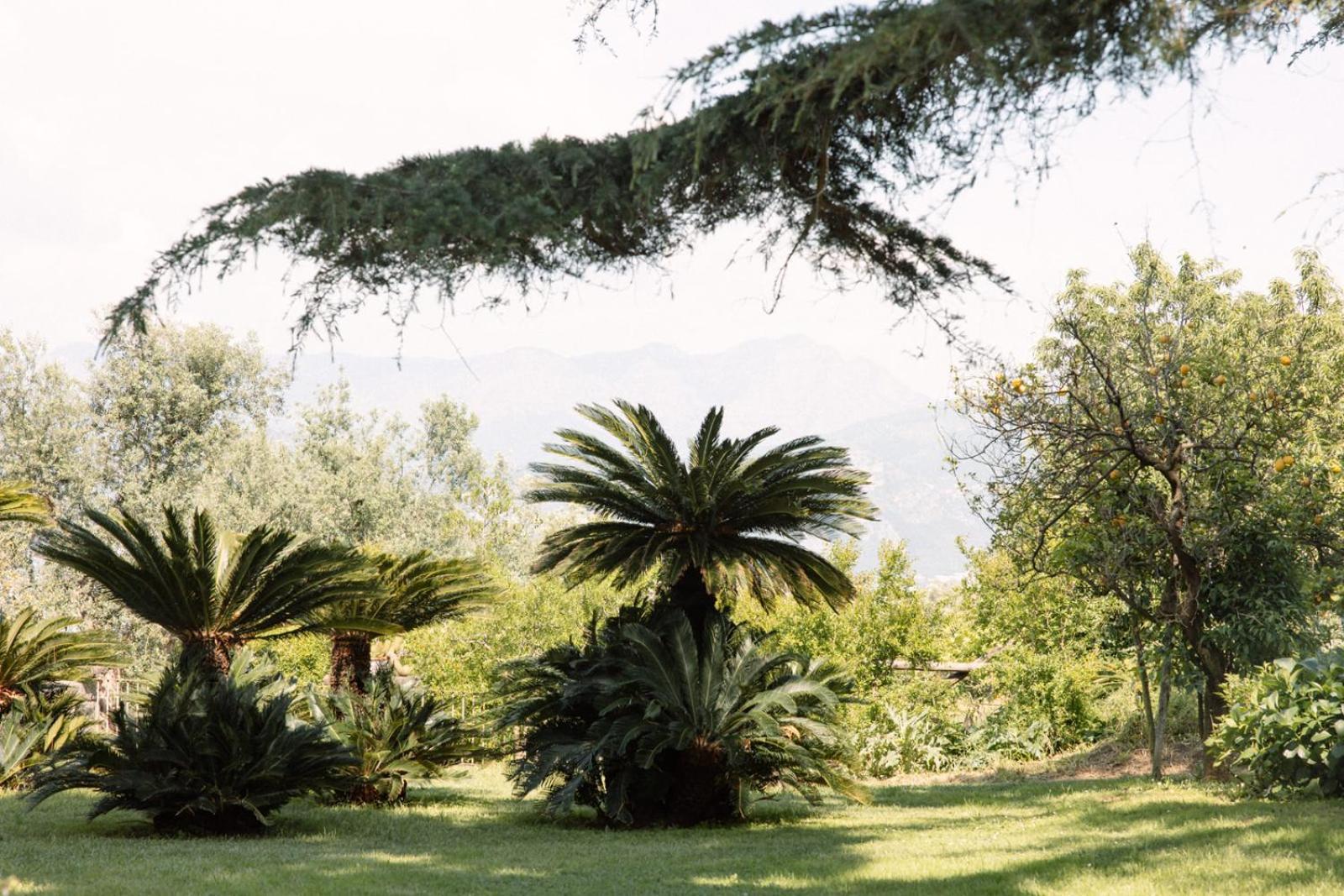 Capo Santa Fortunata 3* Sorrento