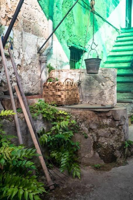 San Renato Holiday home