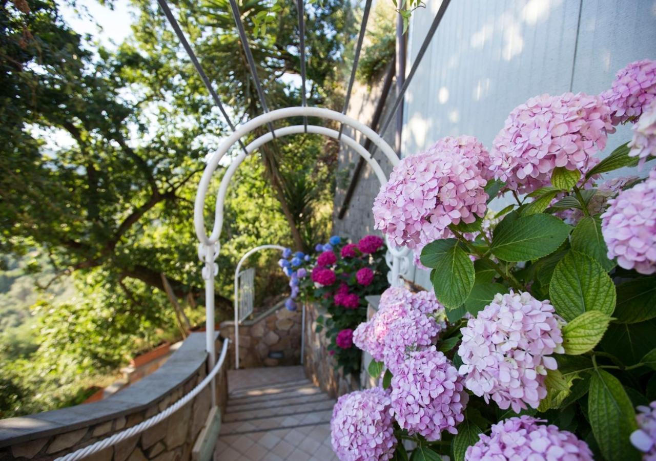 Le Terrazze Aparthotel Sorrento