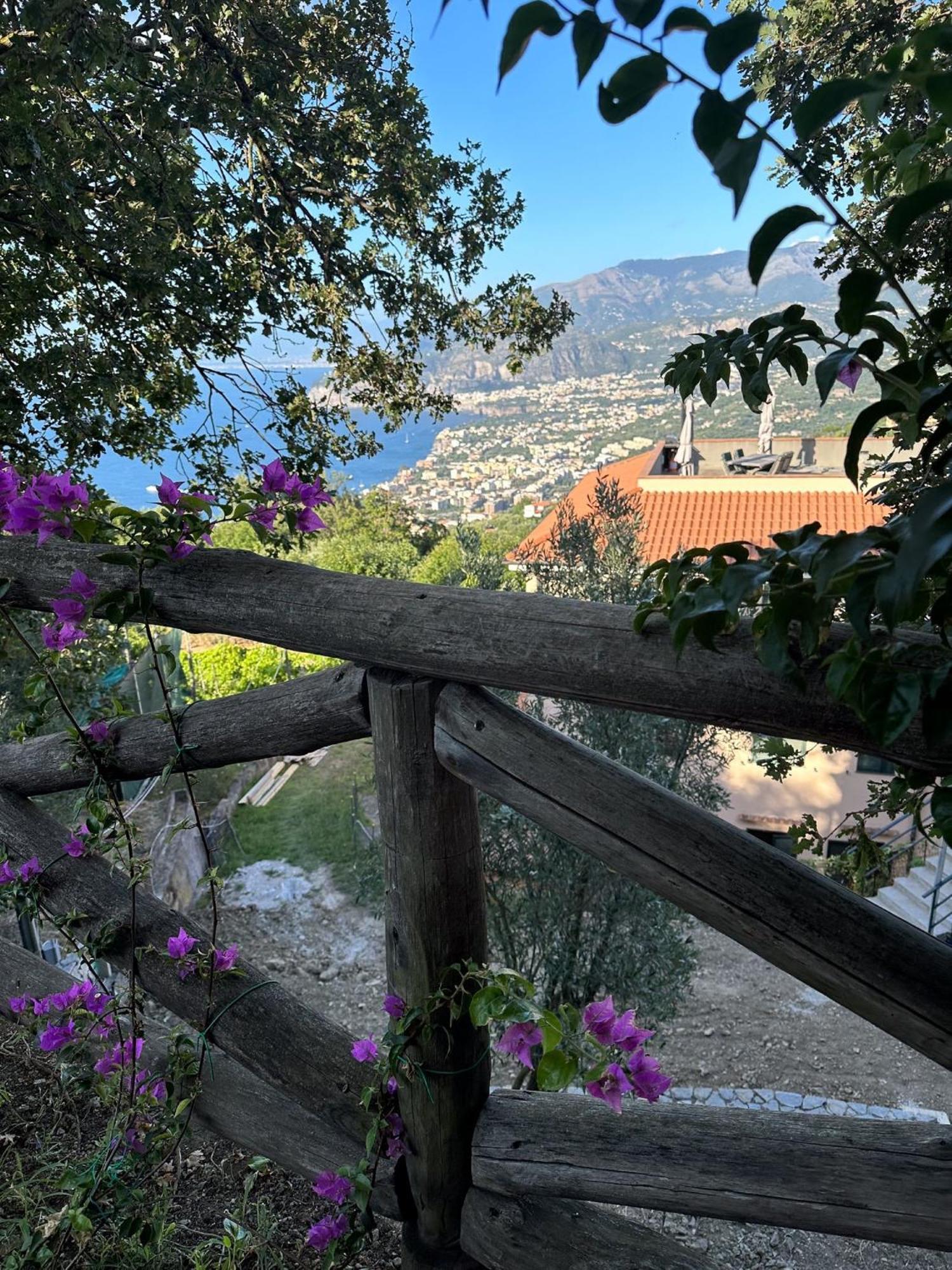 - Savoia Villa Sorrento