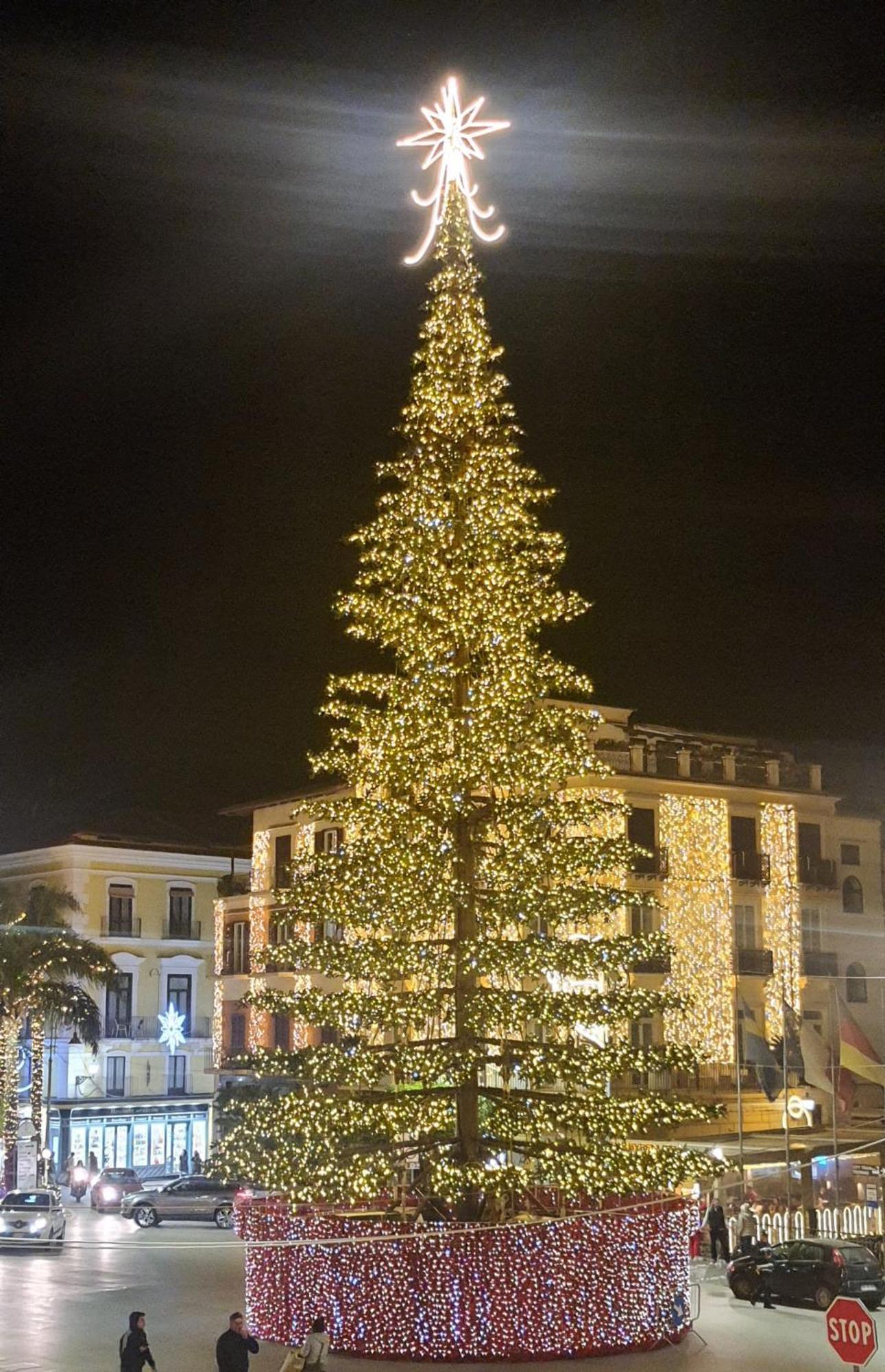 La Coccinella *