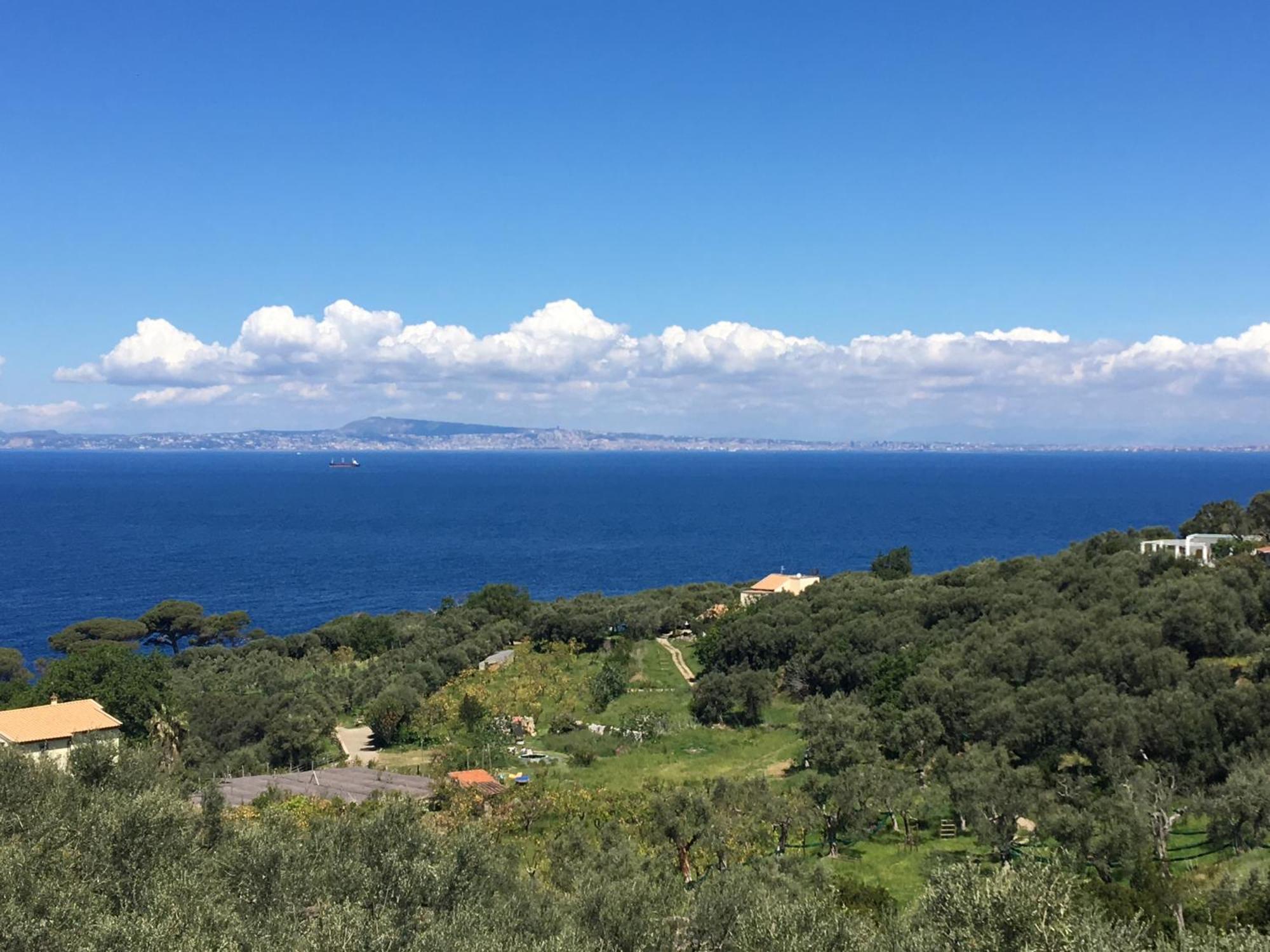 Dania 3* Sorrento