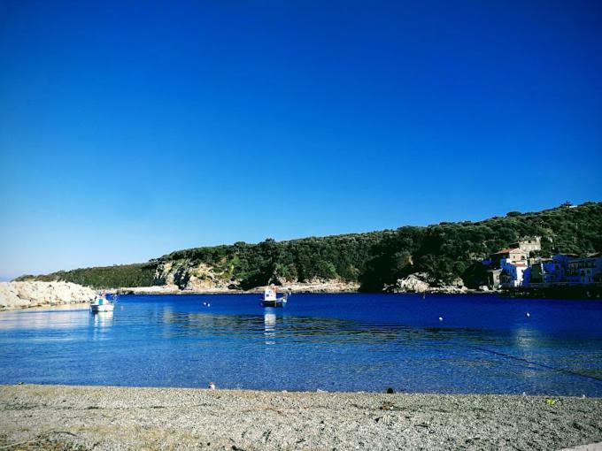 Dania Hotel 3*