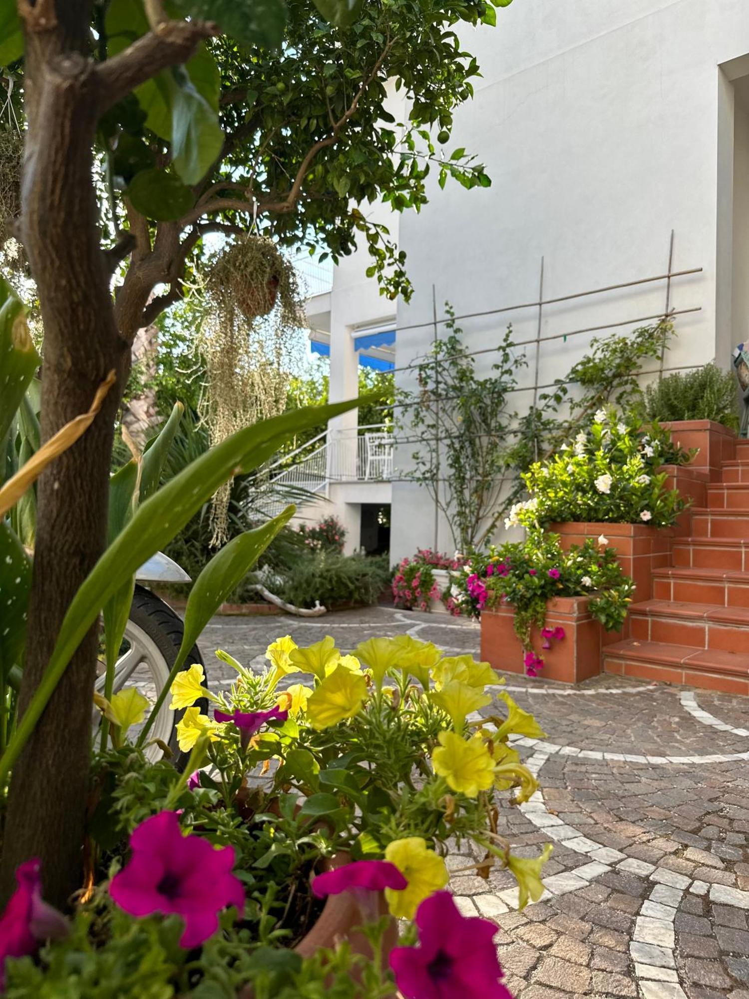 Cettina Boutique Guest house Sorrento