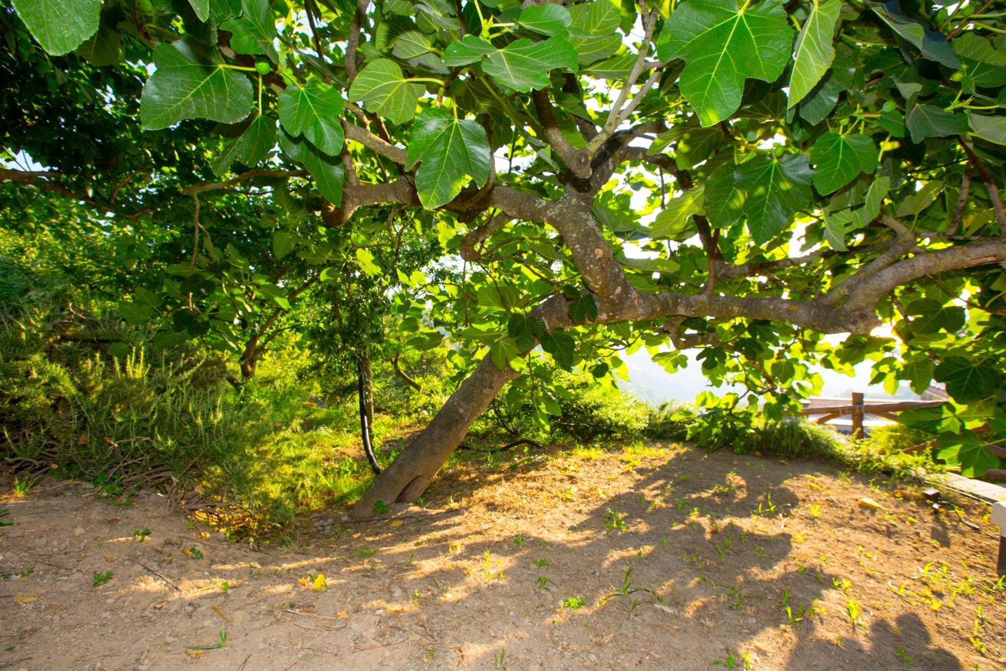 Vakantiehuis I Giardini Di