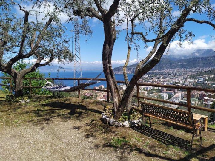 Pacific Hill Sorrento