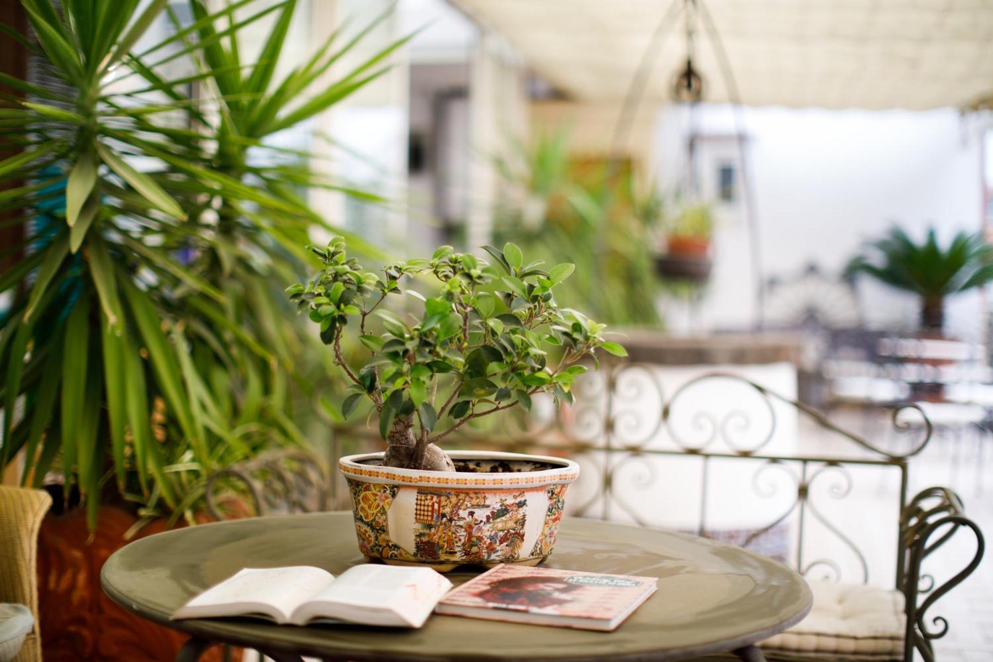 Del Corso Hotel Sorrento