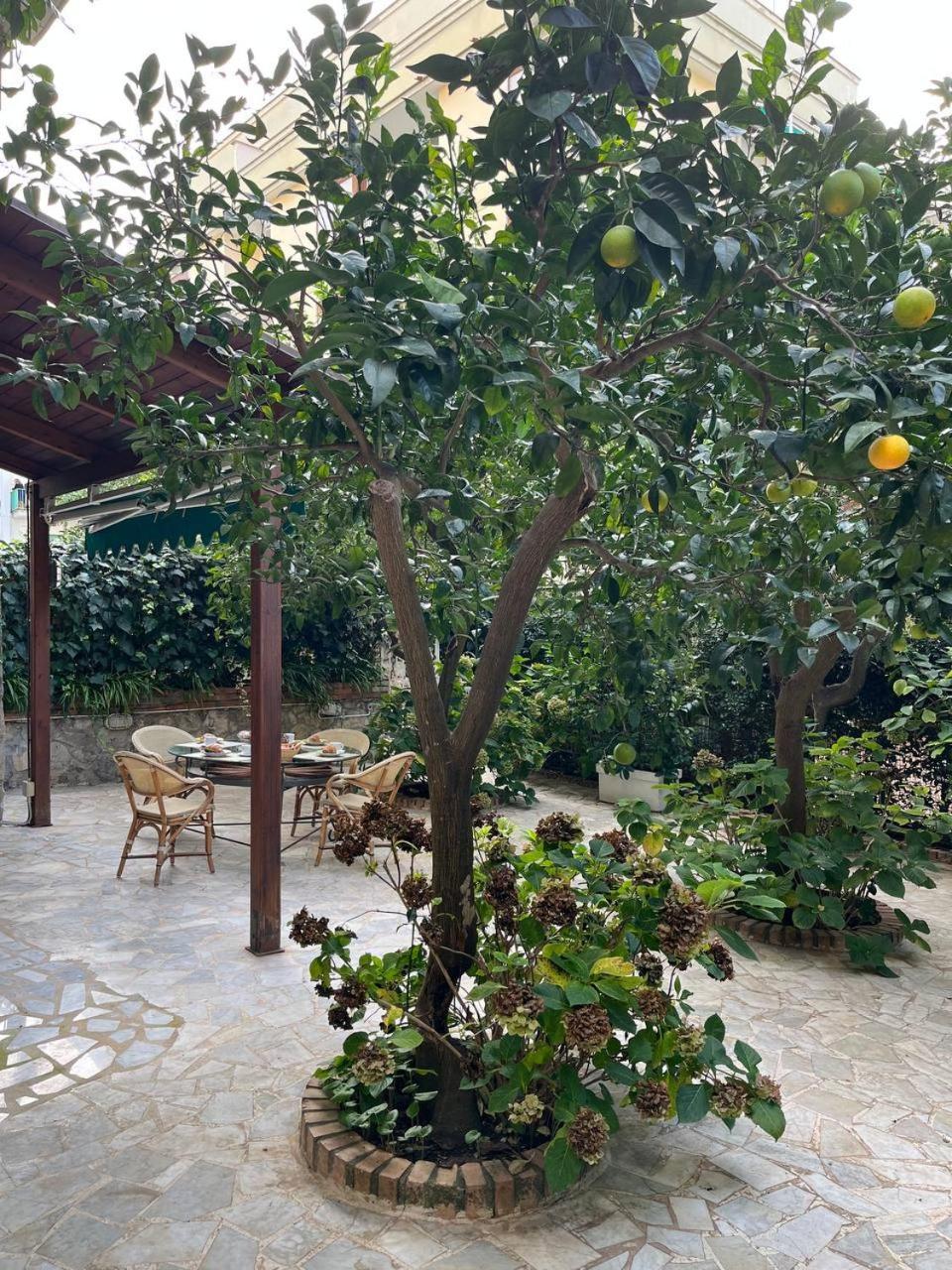 Il Sogno Sorrento
