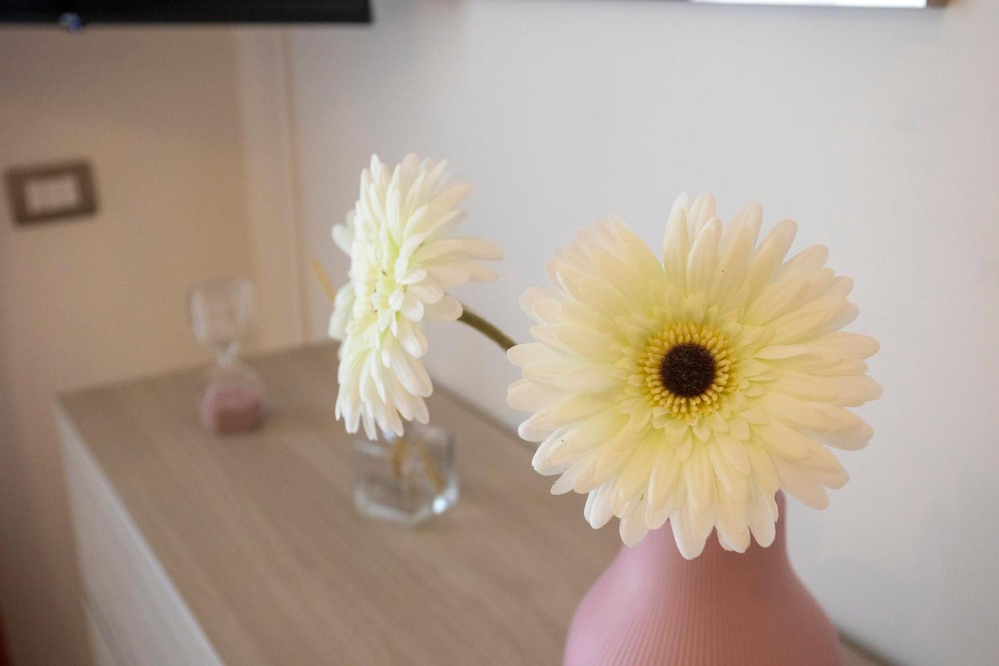 Apartment Emy House Sorrento