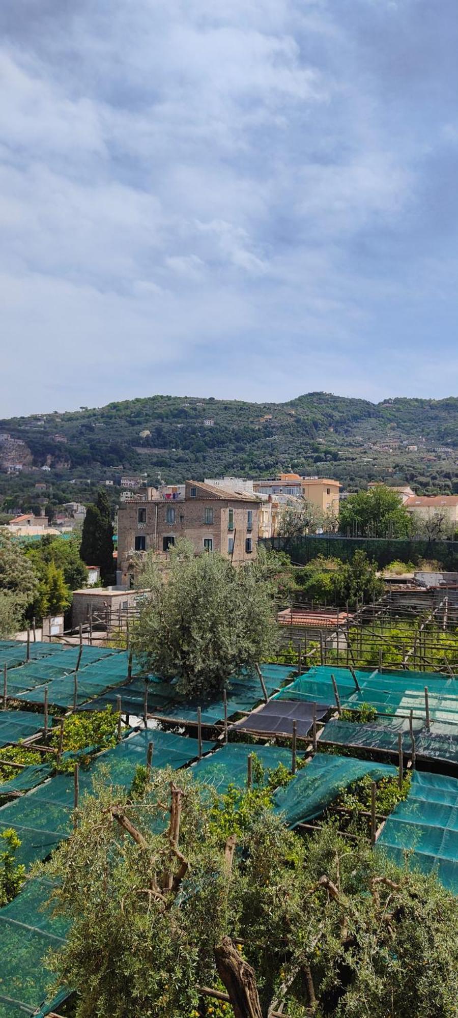 Casa Di Anna Apartment Sorrento