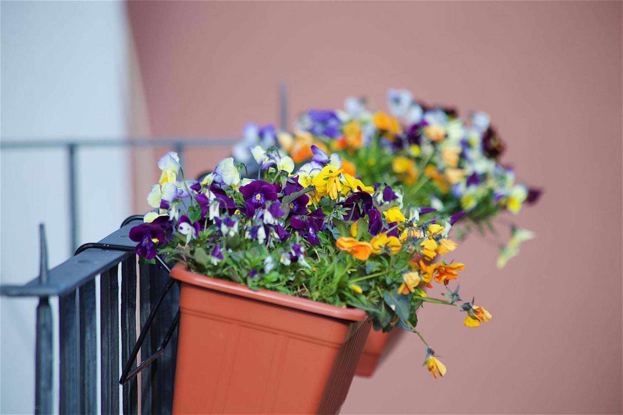 Il Giardino Segreto Bed & Breakfast 3*