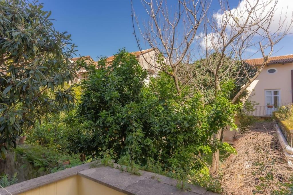 Apartment Realty Holidays Casa Lenu